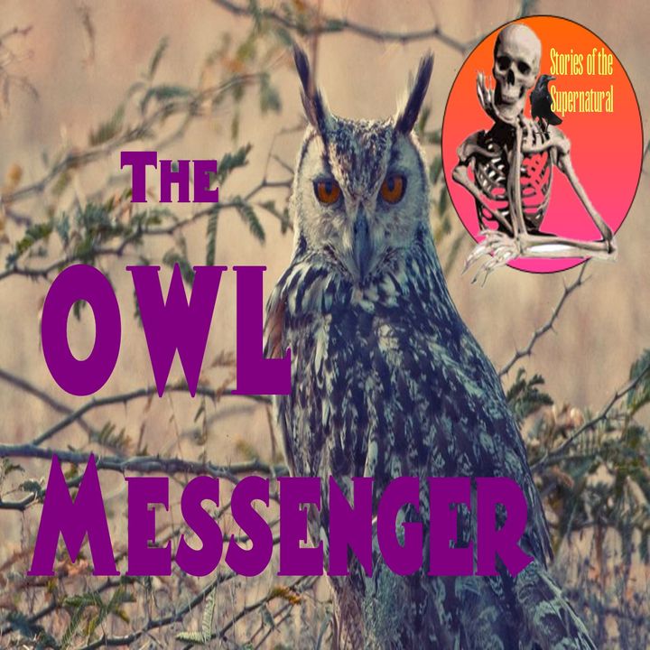 The Owl Messenger | Interview with Mike Clelland | Podcast