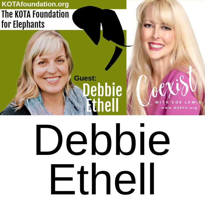 Debbie Ethell LIVE on CoExist with Coe Lewis Ep 382