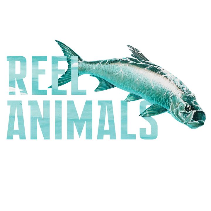 Reel Animals- CCA Star