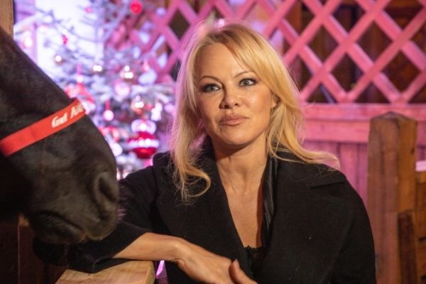 Pamela Anderson Se Raconte Dans Un Documentaire Sur Netflix 1059