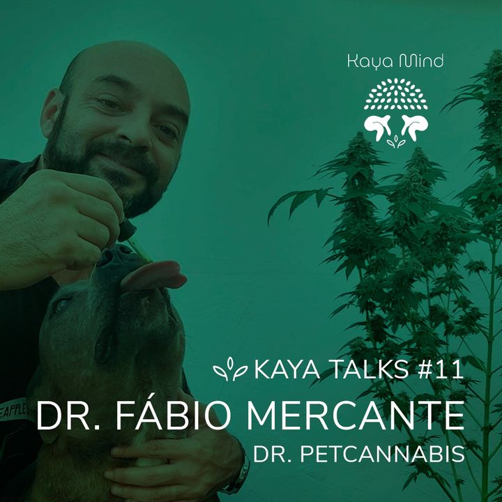 #11 | Dr. Fábio Mercante - Dr. PetCannabis