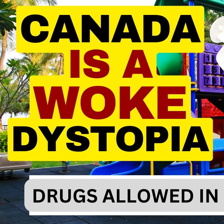 Canadian Judge Rules Addicts Can Use At Playgrounds #canadaisbroken