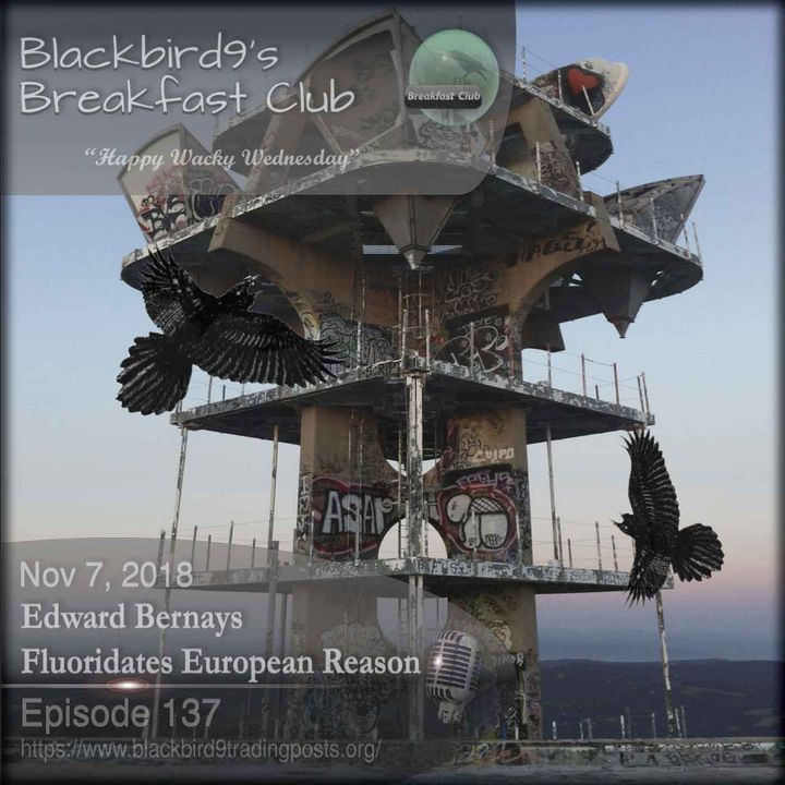 Edward Bernays Fluoridates European Reason- Blackbird9 Podcast