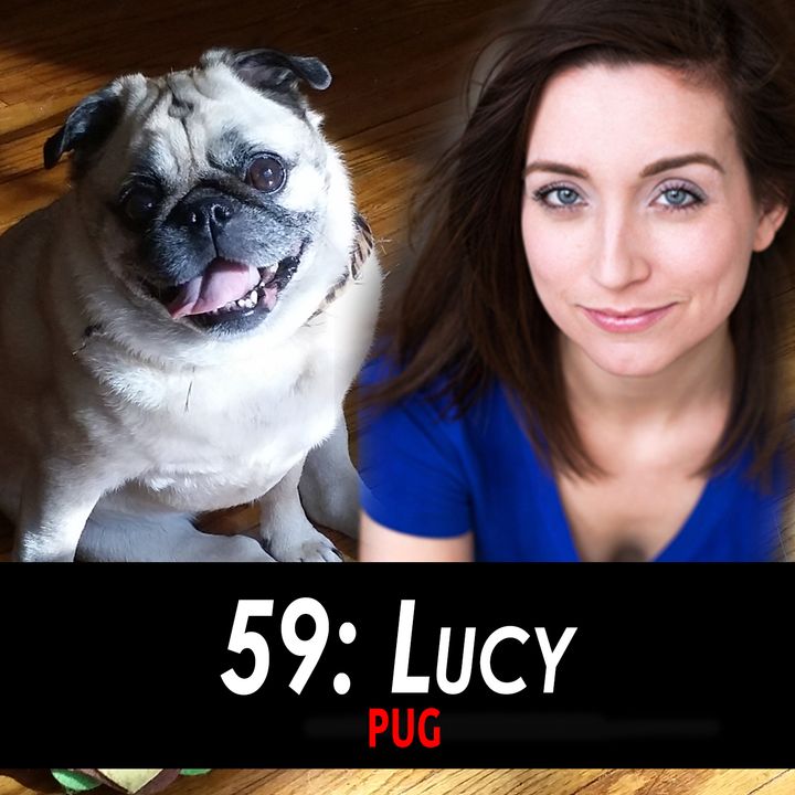 59 - Lucy the Pug