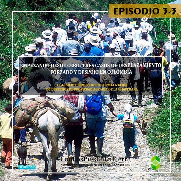 Empezando desde cero: tres casos de desplazamiento forzado y despojo en Colombia