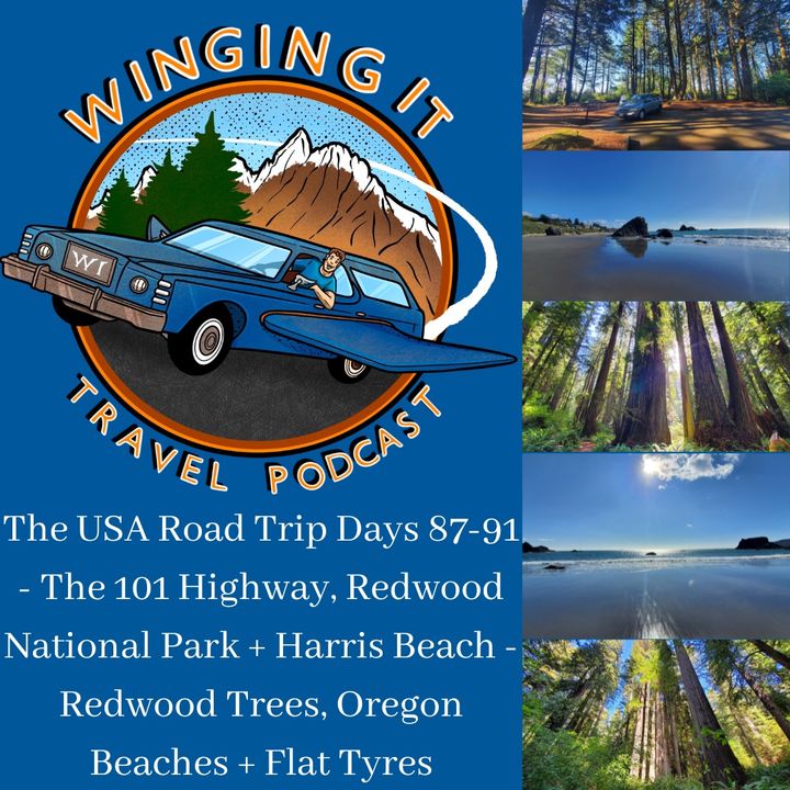 The USA Road Trip Days 87-91 - The 101 Highway, Redwood National Park + Harris Beach - Redwood Trees, Oregon Beaches + Flat Tyres