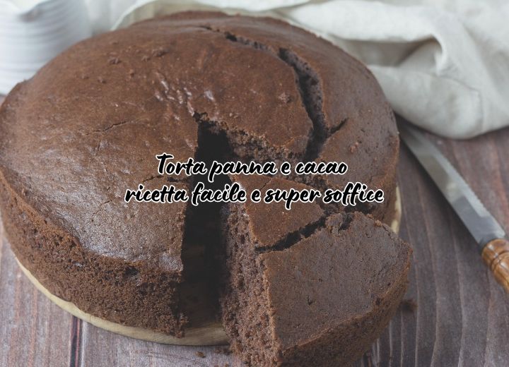 Torta panna e cacao: ricetta facile e super soffice Torta panna e cacao: ricetta facile e super soffice