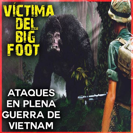 Ataques de Big Foot en Vietnam