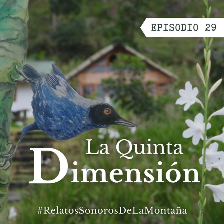 Ep.29 La Quinta Dimensión