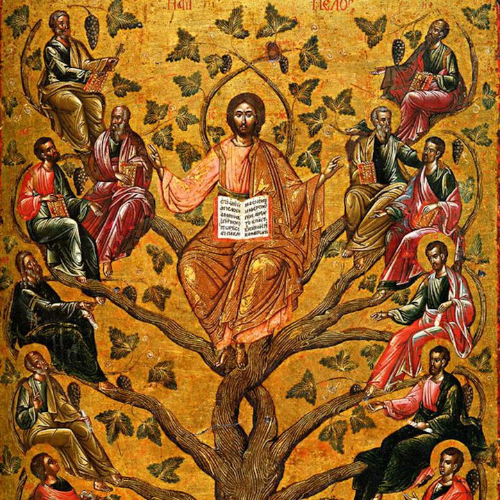 The Genealogy of Jesus - Catholic Daily Reflections