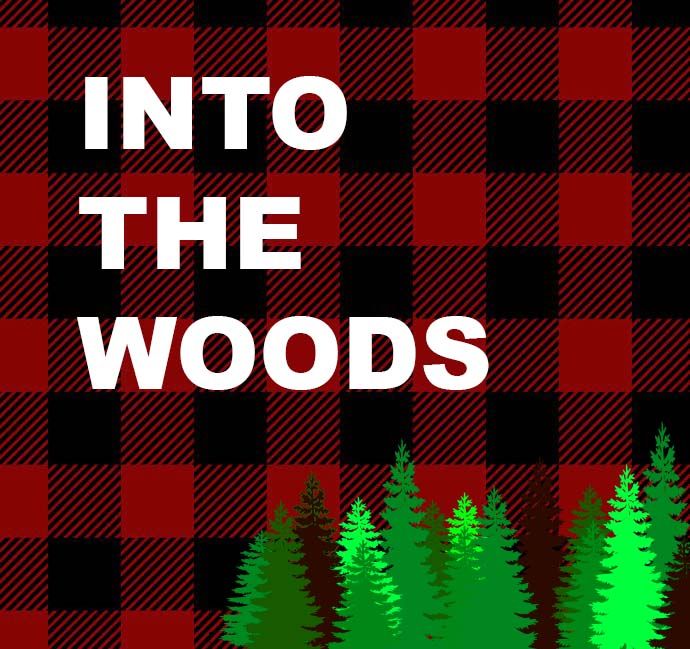 CiTR -- Into The Woods