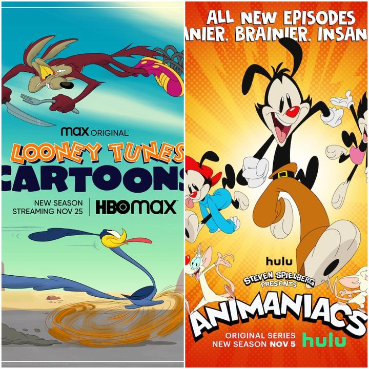 Animaniacs Season 2/Looney Tunes Cartoons Season 3 Review - W2Mnet