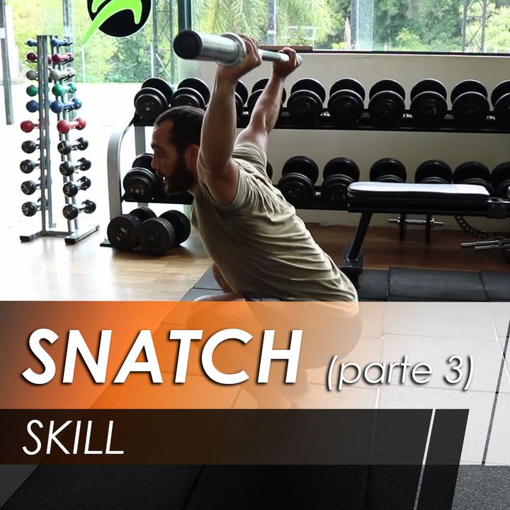 Snatch [Skill] [parte 3]