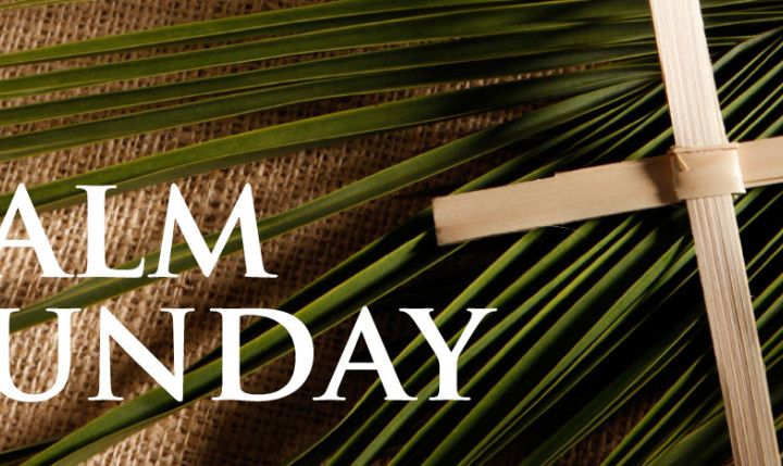 Palm Sunday Is Jesus Telling The World I Am The Messiah