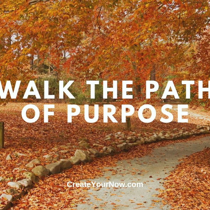 3166 Walk the Path of Purpose