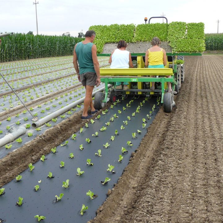 MaterAgro, Agricoltura e chimica verde alleate per clima e futuro dei contadini