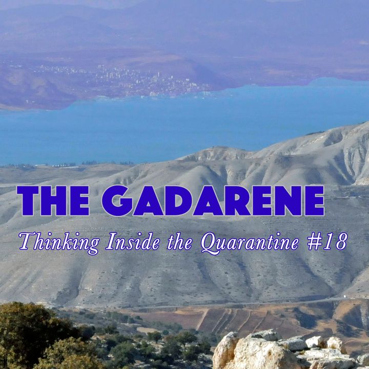 The Gadarene (Thinking Inside the Quarantine #18)