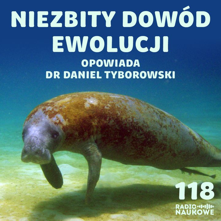#118 Potęga ewolucji - jak ssakom i gadom udało się wrócić do mórz? | dr Daniel Tyborowski