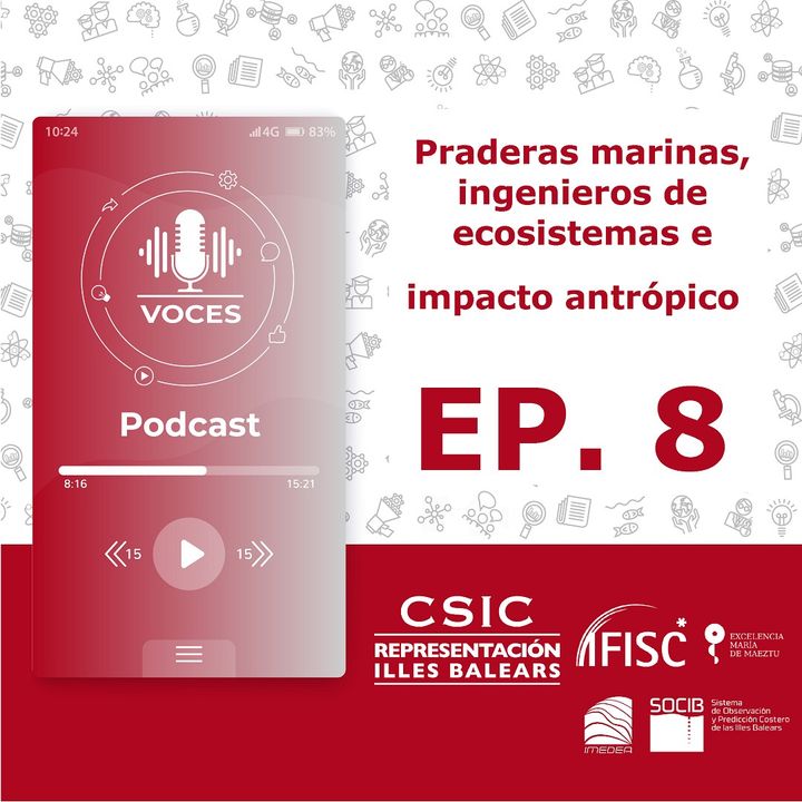 Praderas marinas, ingenieros de ecosistemas e impacto antrópico | Voces, CSIC Balears #08
