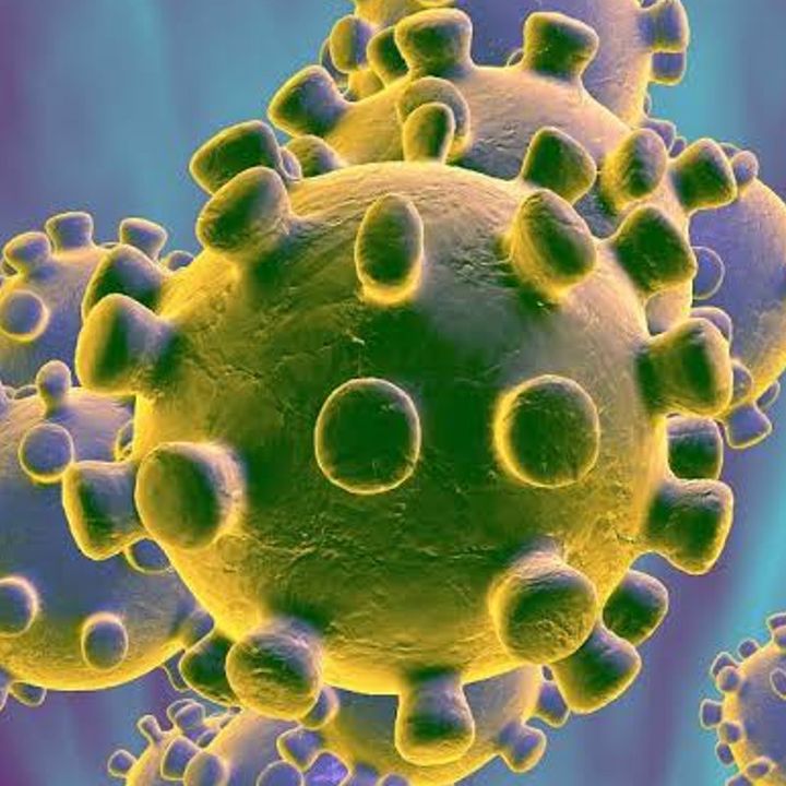 Van 16 muertes por coronavirus en México