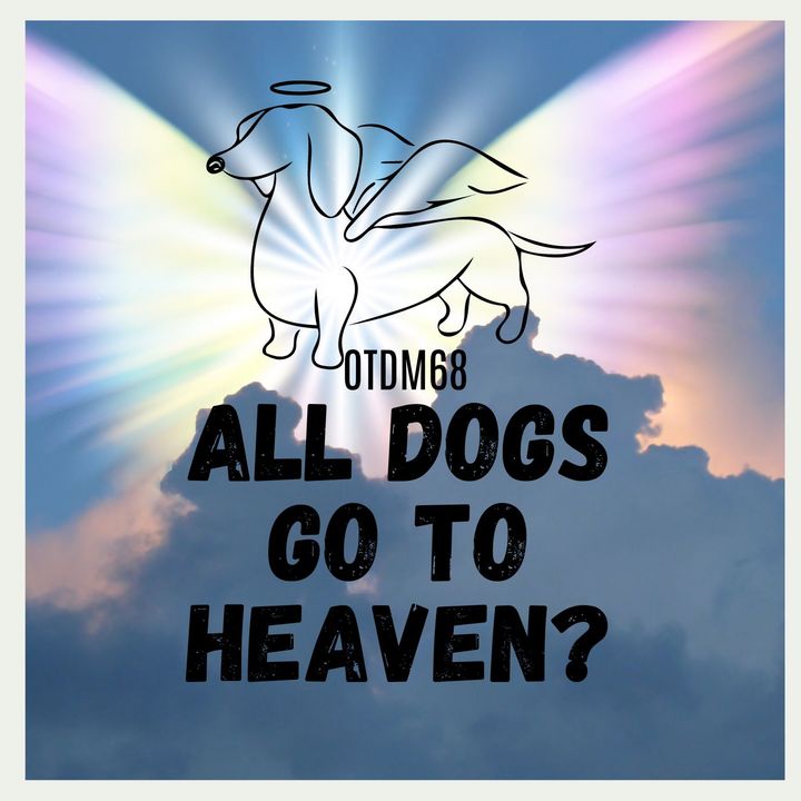 OTDM68 All Dogs Go To Heaven?
