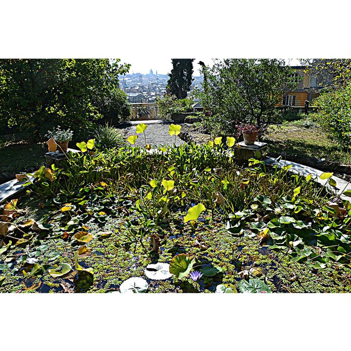 Orto Botanico dell'Università di Genova (Liguria)