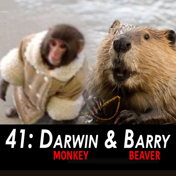 41 - Darwin & Barry
