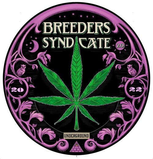 Breeders Syindicate 2.0 - The Early Years - ResinLung & OG Kush S01 E02