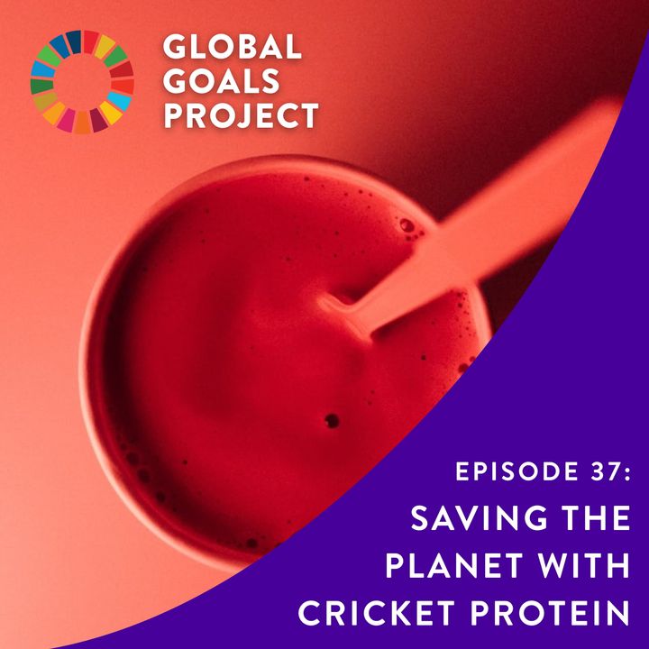 Saving the Planet with Cricket Protein [Episode 37]