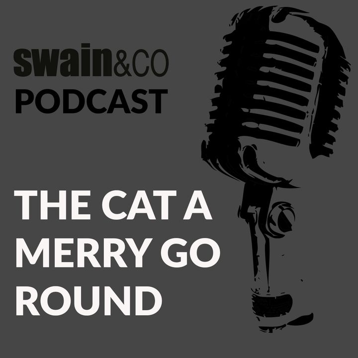 The Cat A merry go round