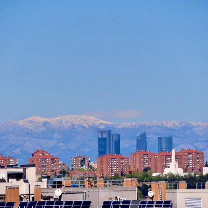 Miscelánea sin contaminación en Madrid | Diario de un Ecólogo #09