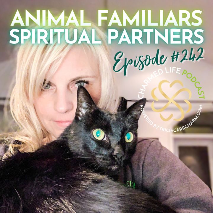 242: Animal Familiars | Animals as Spiritual + Manifestation Partners