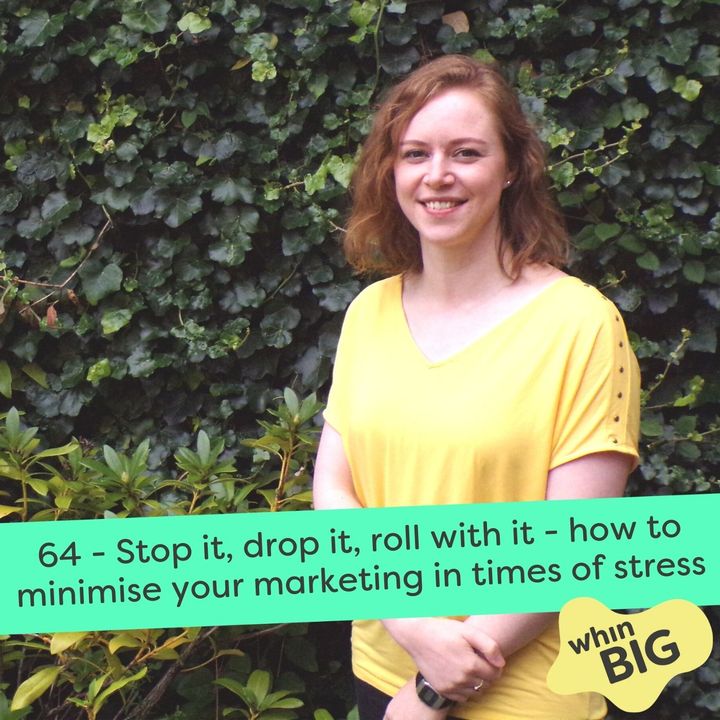 64 - Stop it, drop it, roll with it - how to minimise your marketing in times of stress
