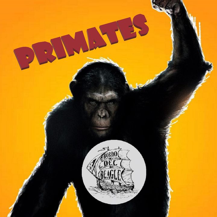 T1E02 Chimpancés, bonobos y "El Origen del Planeta de los Simios" con Raúl Cabrera de SOS Primates.