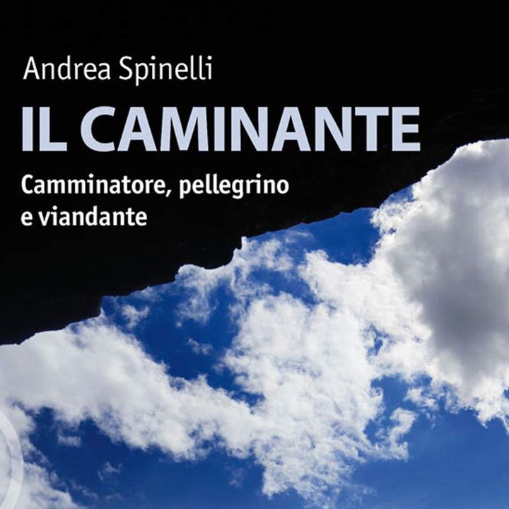 Andrea Spinelli "Il caminante"