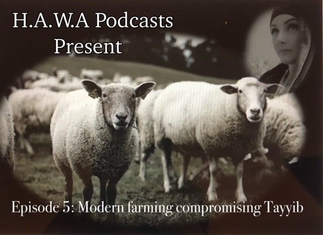 Episode 5: Modern farming & Tayyib