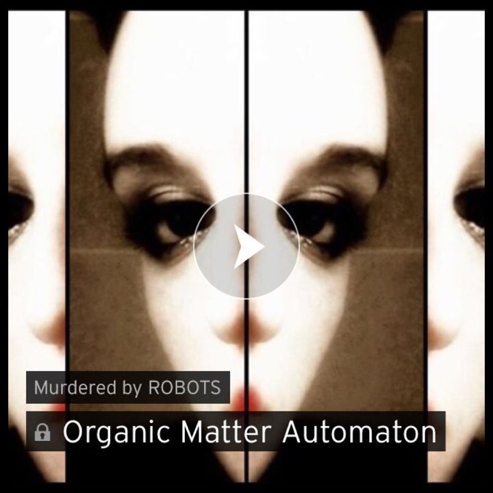MbR 39: Organic Matter Automaton