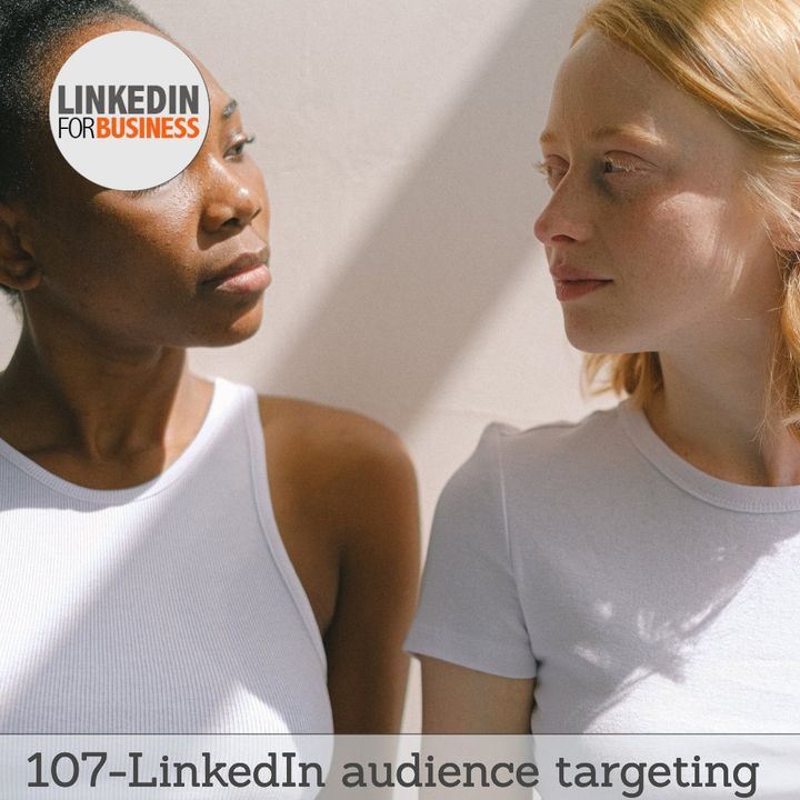 107- LinkedIn Audience targeting