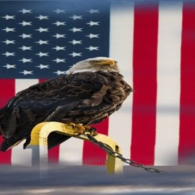 What Will America Do Without Freedom? II