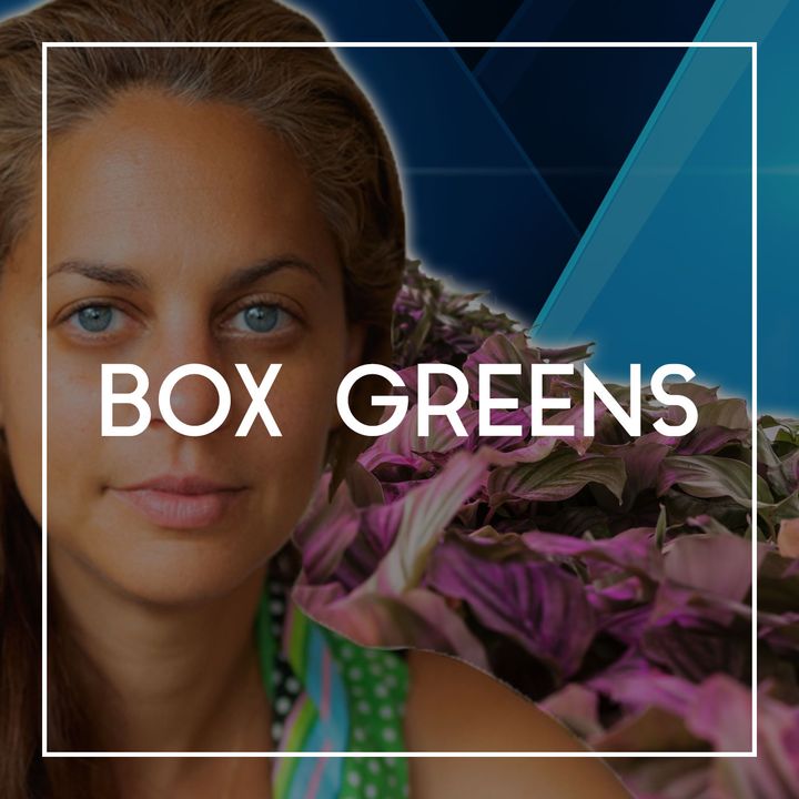 63 Lisa Merkle on Box Greens, Sustainability, and the Future of Hydroponic Farming