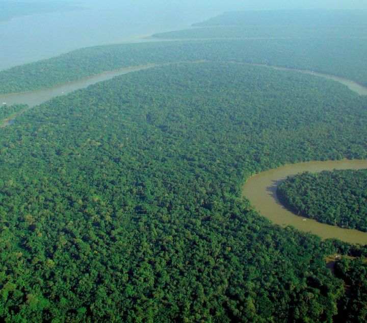 Effetto Lula In Amazzonia la deforestazione cala del 34� in sei mesi