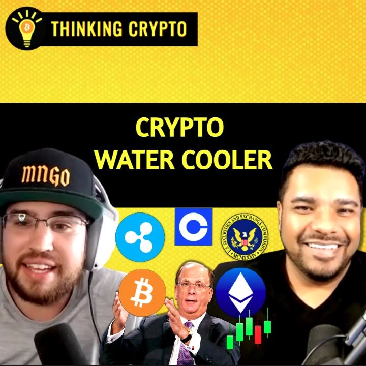 Crypto Water Cooler: Bitcoin Halving, Memecoins, SEC Coinbase & Ripple, BlackRock Tokenization Ethereum Ep011