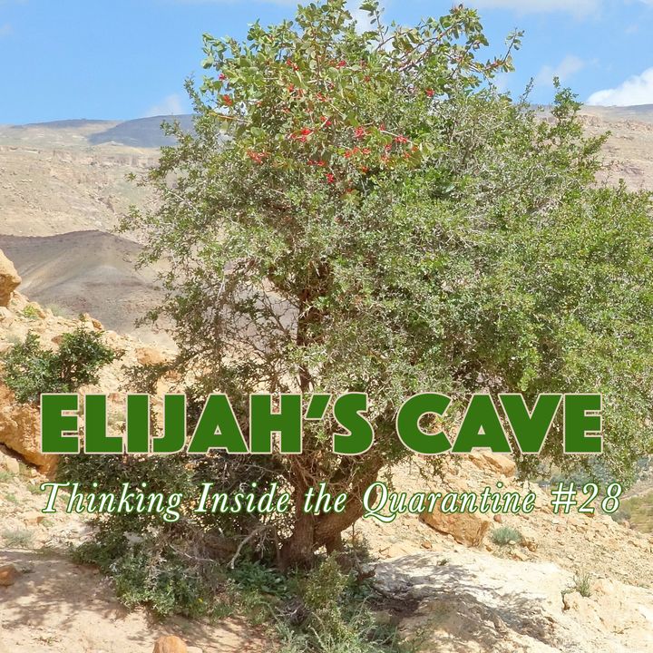 Elijah (2) at the cave (Thinking Inside the Quarantine #28)