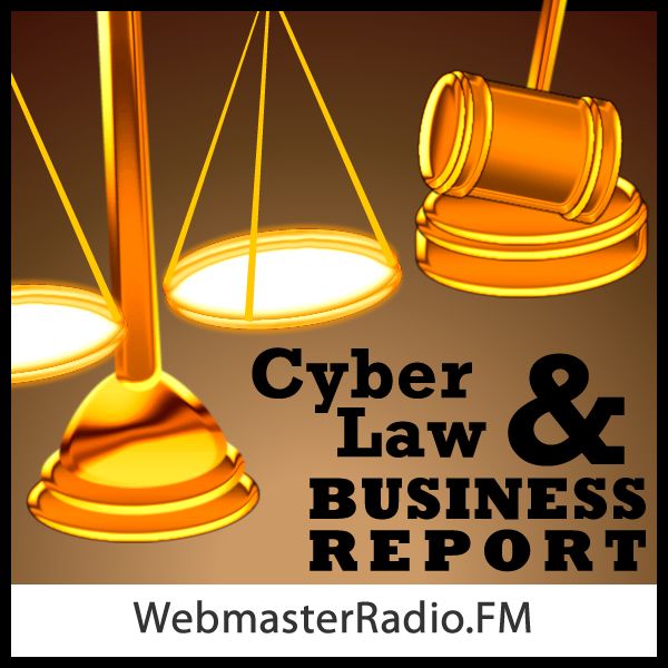 CyberLaw and Business Report
