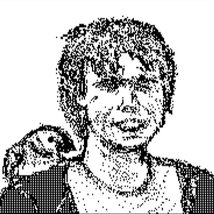 Donate to #LauriLove and get free 8bit artwork - By @AcornElectron #ThePeoplesVoice