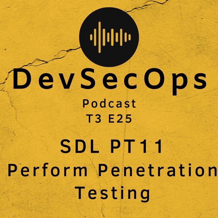 #25 - Perform Penetration Testing