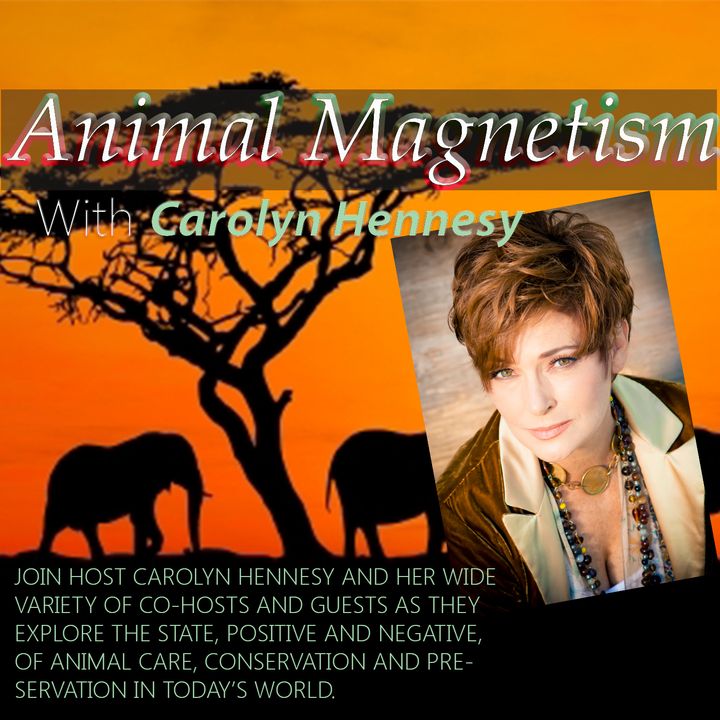 Animal Magnetism with Carolyn Hennesy