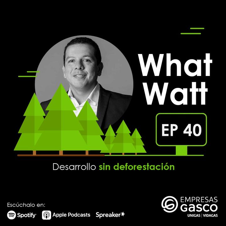 EP. 40: Desarrollo sin deforestación