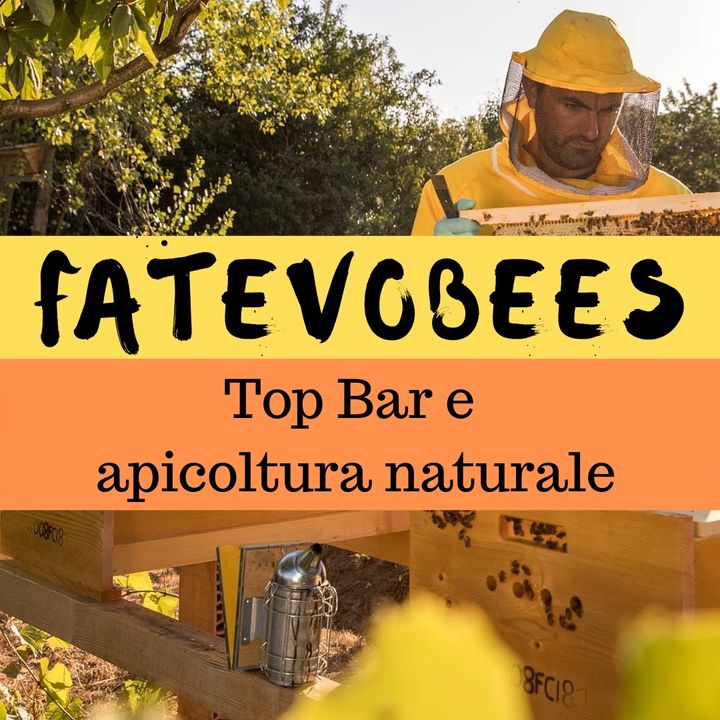 Inter-BEE-sta a Fatevobees: apicoltura naturale e top bar