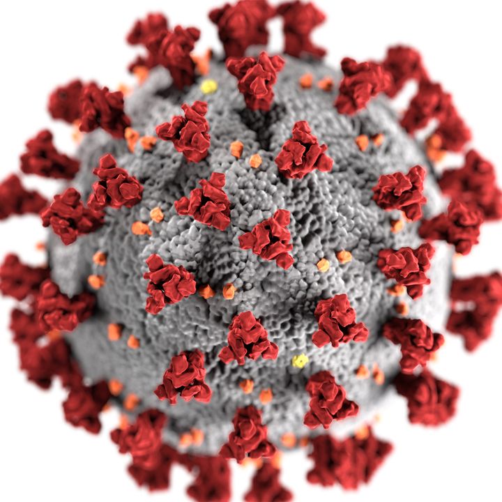 Dagli anticorpi all’aerosol, le prossime armi contro il virus